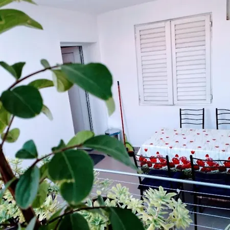Apartment With One In Zadar, With Enclosed Garden And Wifi - 1 Km From T... Zadar