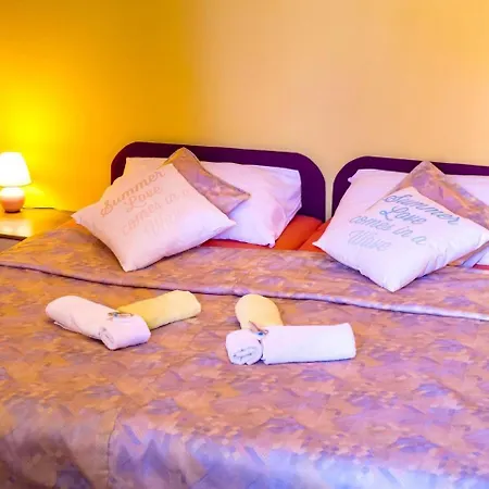 With One In Zadar, With Enclosed Garden And Wifi - 1 Km From T... Apartment