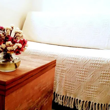 With One In Zadar, With Enclosed Garden And Wifi - 1 Km From T... Zadar